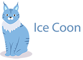 Ice Coon - Main coon suisse